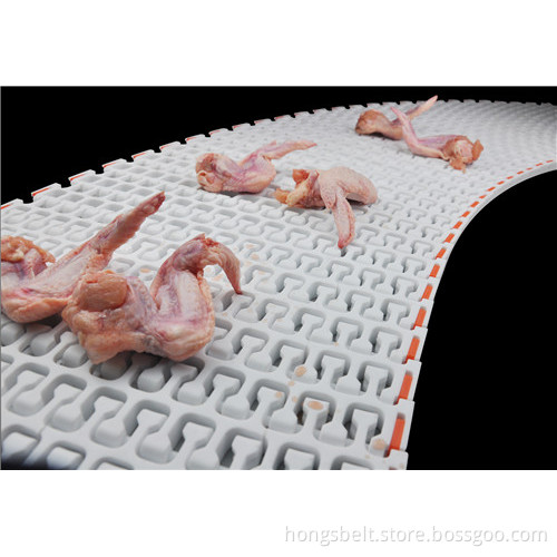 Food Grade Curved Modular Conveyor Belt
